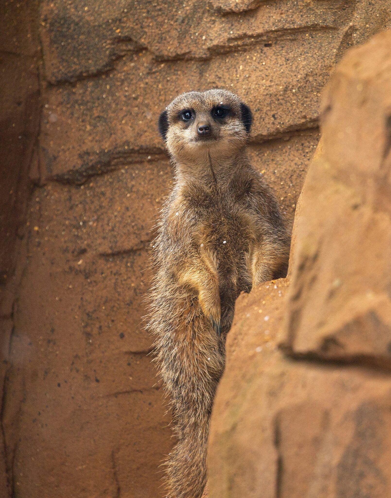 Andy holmes t QcBHt4z5w unsplash
