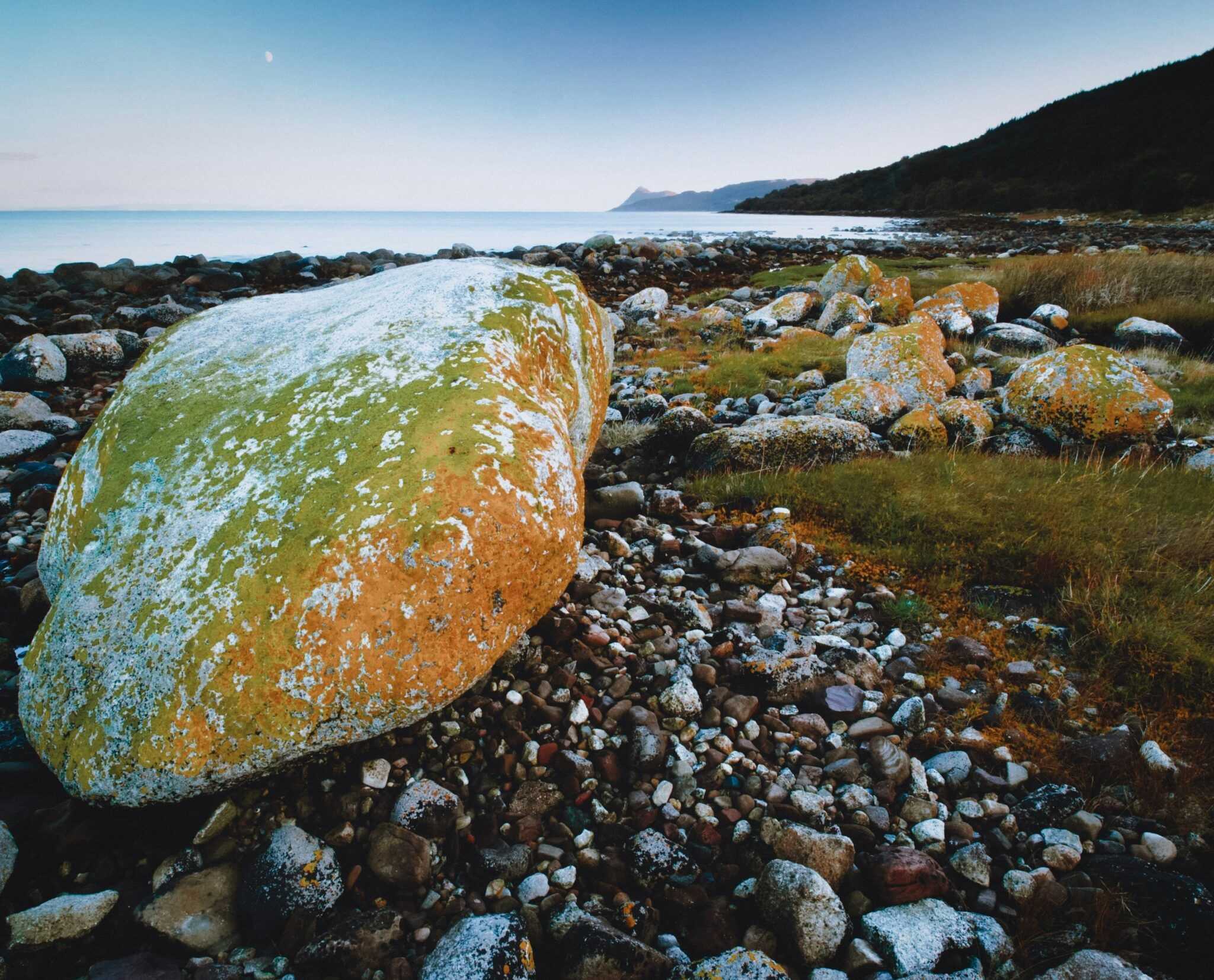 Ian cylkowski 7hm9d98kHtI unsplash