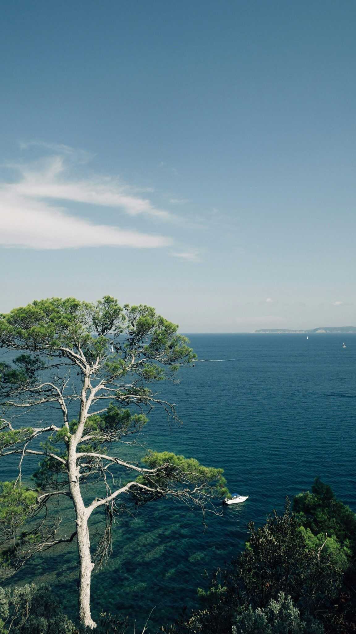 Maurits bausenhart 5t2BxX fYKQ unsplash