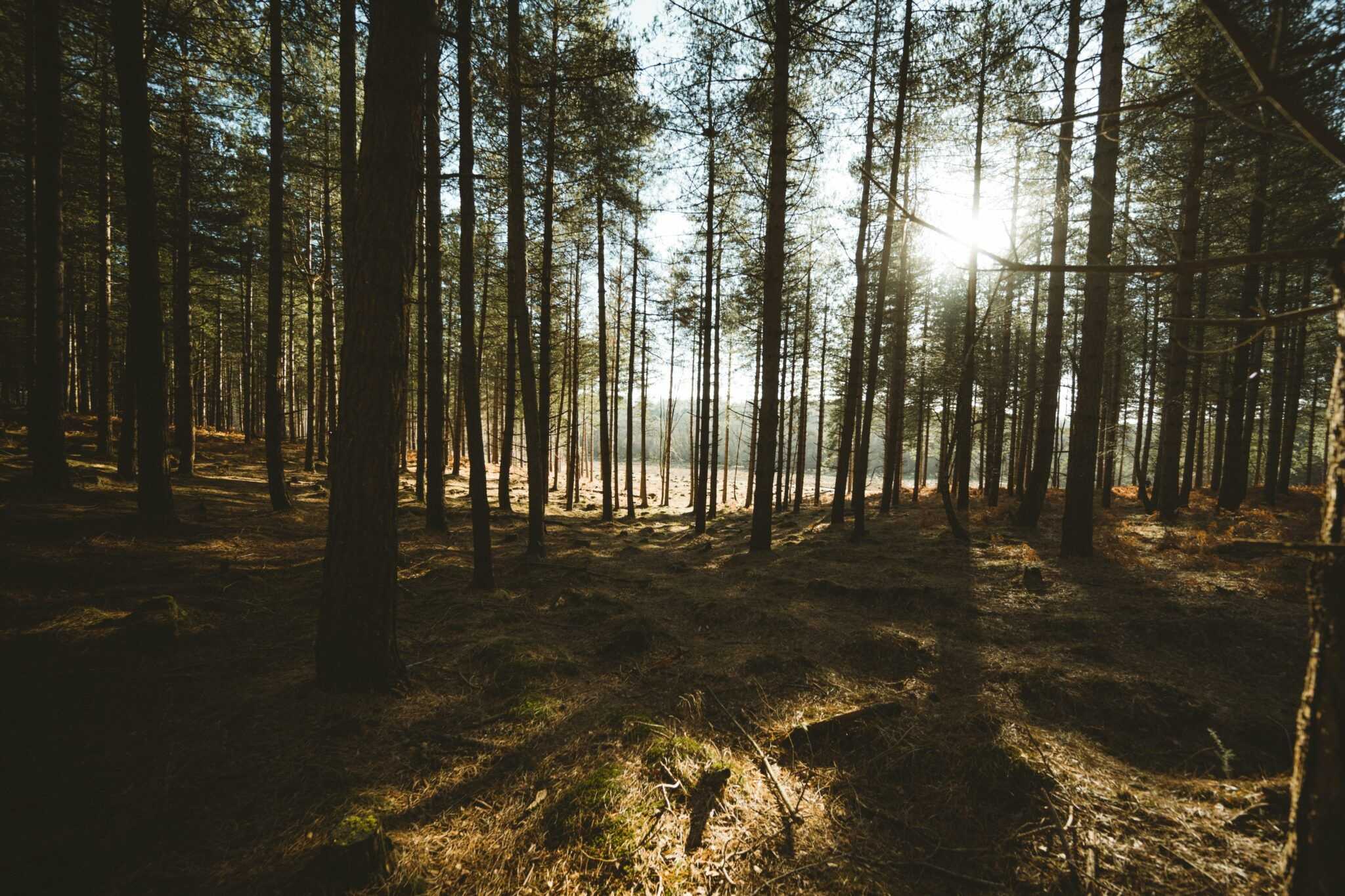 Annie Spratt Ig9px Ctm3s Unsplash