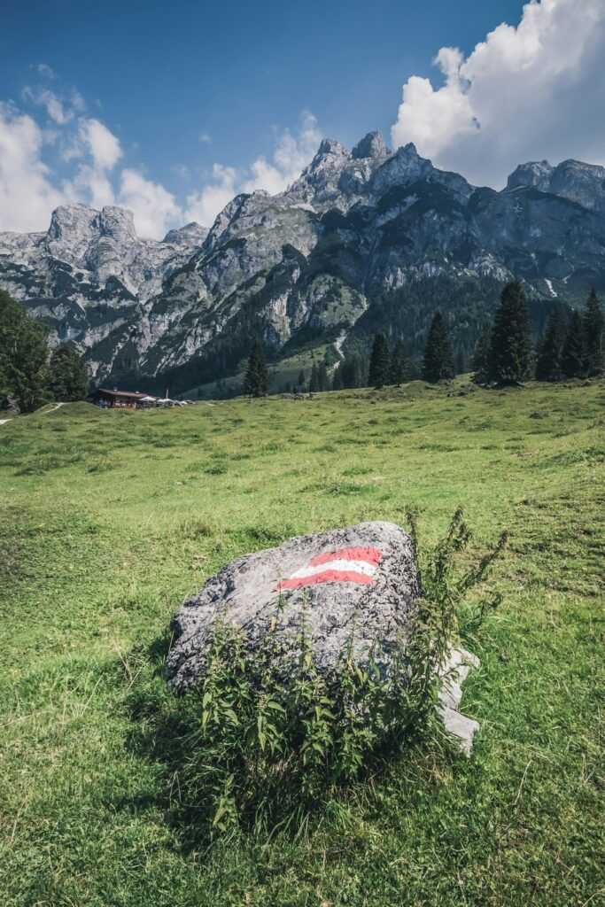 Quaritsch Photography Rvyc3zzhpt8 Unsplash